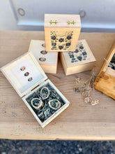 Load image into Gallery viewer, Boxed Quail Eggs {Set}