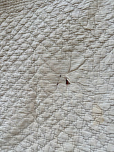Load image into Gallery viewer, 1800’s French Quilted Petticoat

